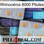 Rhinocéros 8000 Pilules 25